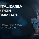 Digitalizarea B2B prin eCommerce