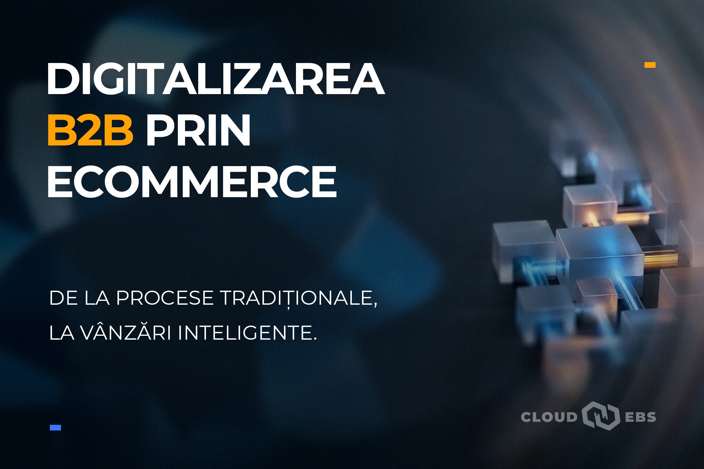 Digitalizarea B2B prin eCommerce - Cloud EBS, your full-service ...